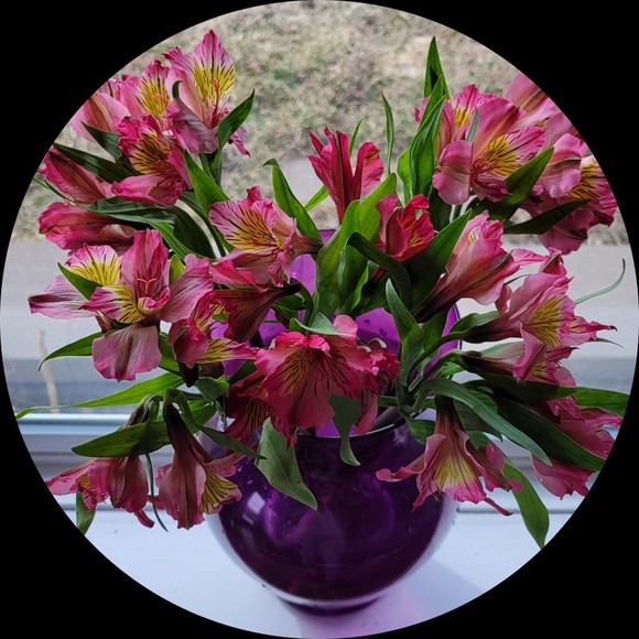 Meet your Posher, Heather - Picture 1 of 1